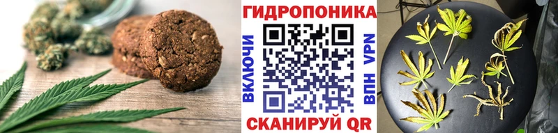 Купить закладки  Ладушкин  Cannafood конопля 