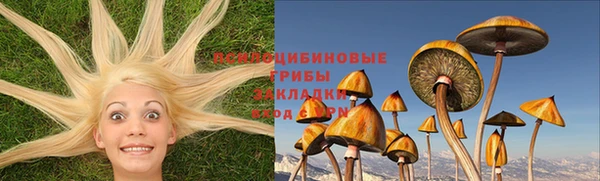 экстази Гусь-Хрустальный