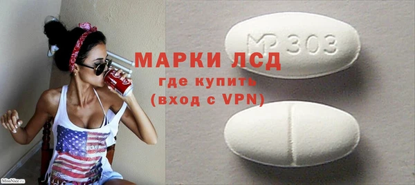 таблы Гусев