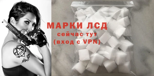 таблы Гусев