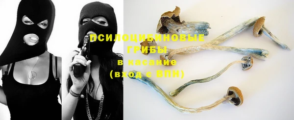 крисы Великий Новгород