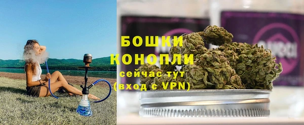 таблы Гусев