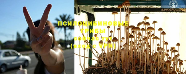 таблы Гусев