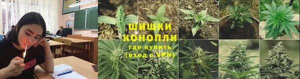 таблы Гусев