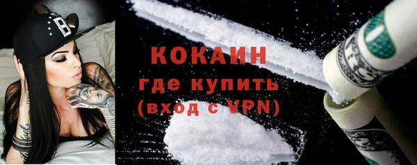 таблы Гусев