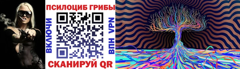 Купить закладки  Ладушкин  Псилоцибиновые грибы Psilocybine cubensis 