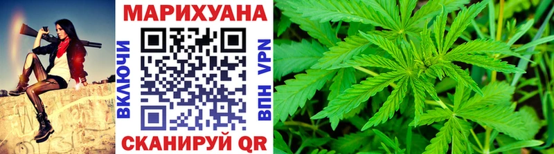 Конопля сатива Ладушкин